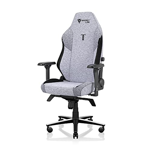 Secretlab Titan Evo 2022 Cookies & Cream Gaming Chair - Reclining, Ergonomic & Heavy Duty Computer Chair with 4D Armrests, Magnetic Head Pillow & Lumbar Support - Big and Tall 395 lbs - Gray - Fabric - Game-Savvy